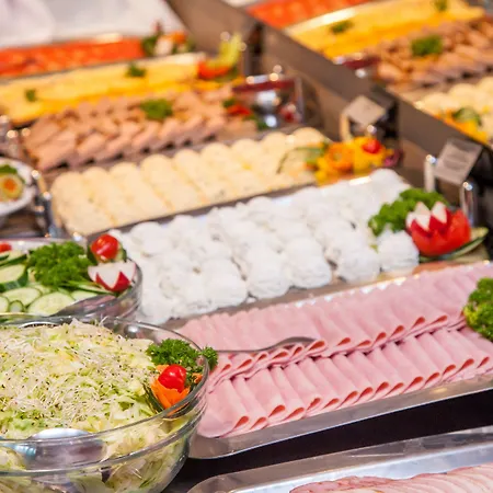 & Wellness Diament 4* Ustron