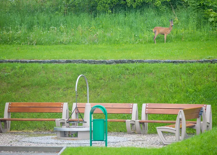 Hotel & Wellness Diament Ustroń